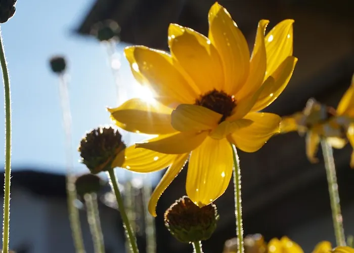 Wetterkante Hase & Fuchs شقة ليرموس