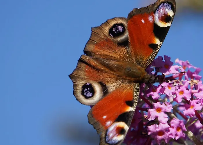 شقة Wetterkante Hase & Fuchs ليرموس