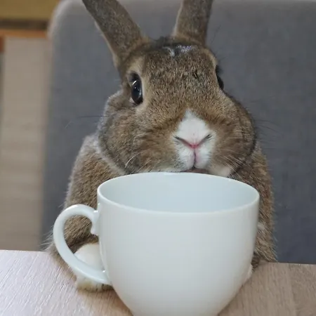 Wetterkante Hase & Fuchs Apartmán *